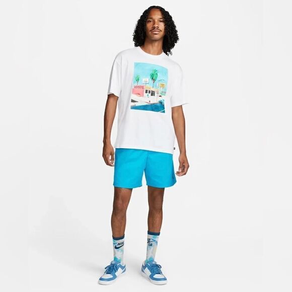 Nike SB Polyester Woven Blue Shorts - Picture 2 of 12
